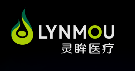 灵眸